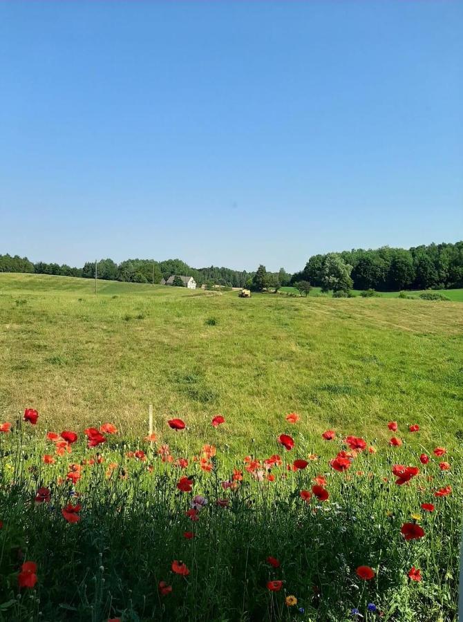 Damhills Apartments Bronowko Dış mekan fotoğraf